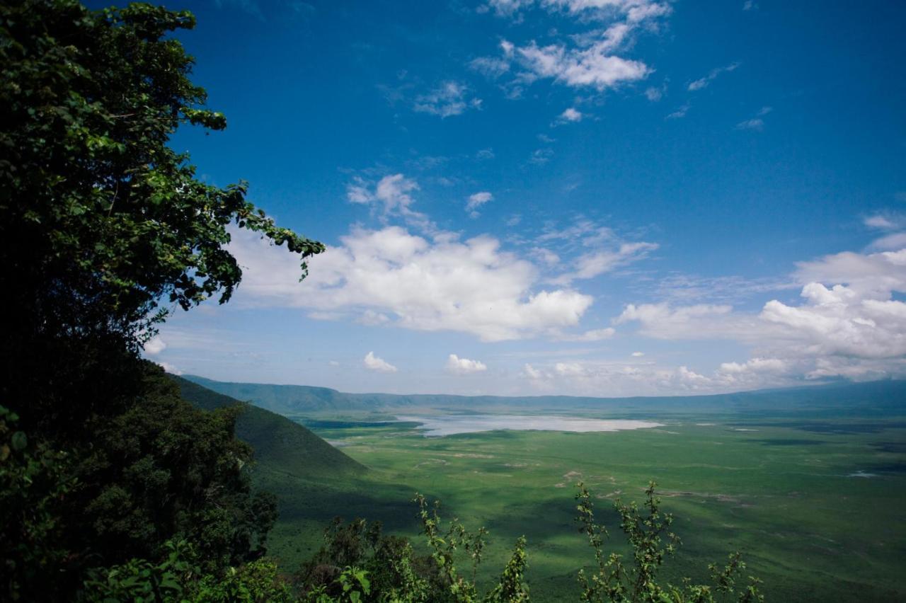 Charming Eco-Homestay Near Kilimanjaro International Airport Arusha Luaran gambar