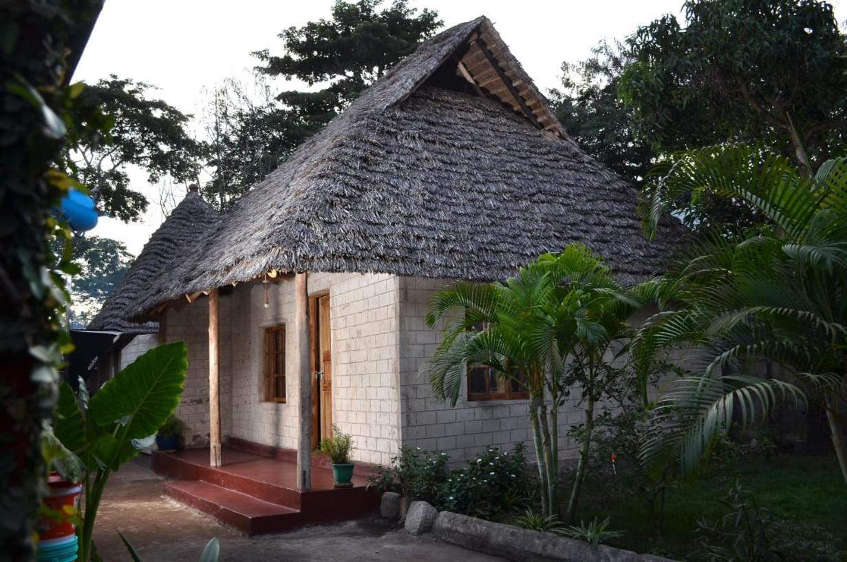 Charming Eco-Homestay Near Kilimanjaro International Airport Arusha Luaran gambar