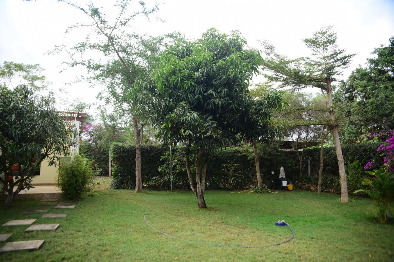 Charming Eco-Homestay Near Kilimanjaro International Airport Arusha Luaran gambar